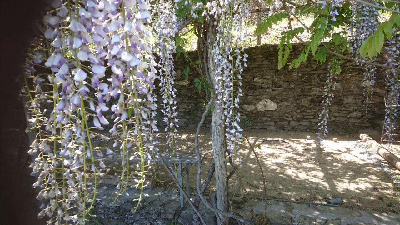 Le Mercou En Cevennes Saint-Martin-de-Boubaux Exterior photo